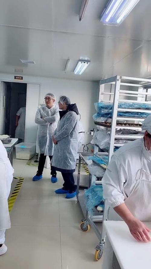 健康信息咨询 从科学获取到理性决策的完整指南
